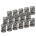 Picture of Supertech SPT Dual Valve Springs Valve Springs, Retainers - SPR-V2093-4-16