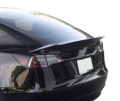 Picture of MXP Carbon Fiber Spoilers - MCPT3-2W
