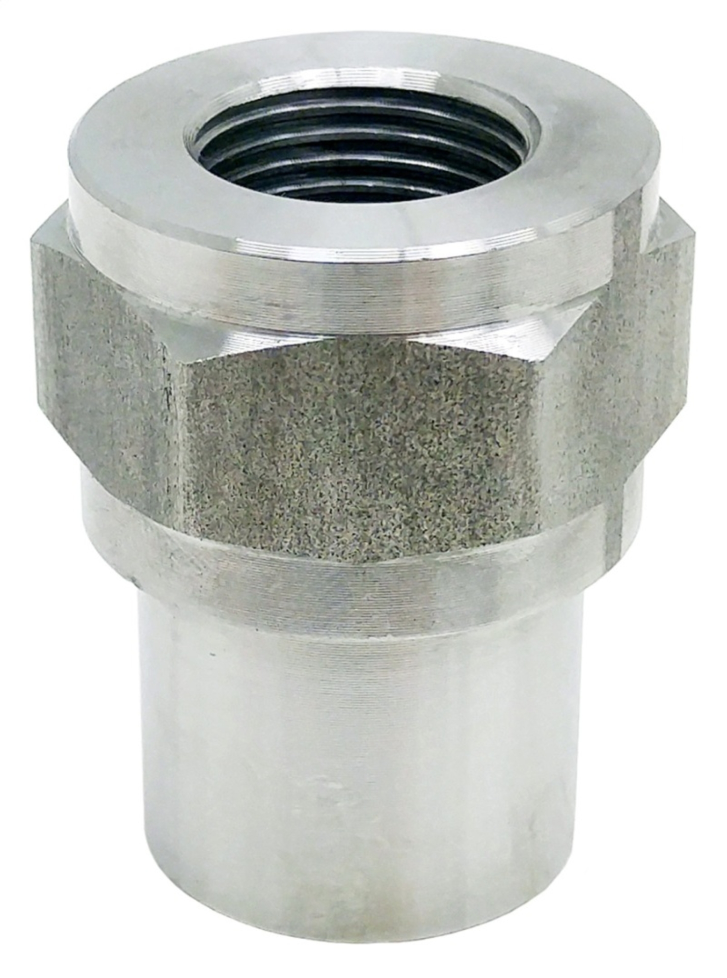Picture of RockJock ROK Bungs - CE-9112B1