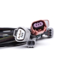Picture of COBB Flex Fuel Kit - 325650