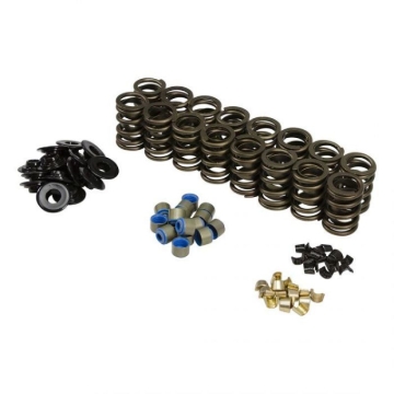 Picture of SPRING KIT, FORD GT40 / GT40P CYLINDER HEAD, .570" MAX LIFT