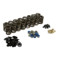 Picture of SPRING KIT, FORD GT40 / GT40P CYLINDER HEAD, .570" MAX LIFT