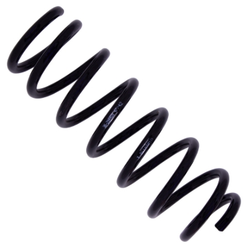Picture of B3 OE Replacement - Coil Spring