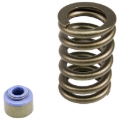 Picture of VALVE SPRING KIT, JEEP 4.0L 19 88-2006