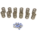 Picture of VALVE SPRING KIT, JEEP 4.0L 19 88-2006