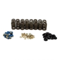 Picture of SPRING KIT, GM L31 VORTEC CYLINDER HEAD, .510" MAX LIFT, FLAT TAPPET