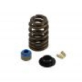 Picture of SPRING KIT, GM L31 VORTEC CYLINDER HEAD, .510" MAX LIFT, FLAT TAPPET