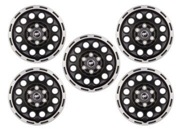 Picture of Ford Racing FR Wheels - M-1007K-P1780MBM