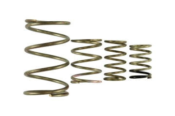 Picture of Turbosmart TS Wastegate Springs - TS-0550-3150