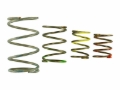 Picture of Turbosmart TS Wastegate Springs - TS-0550-3151