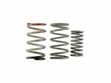 Picture of Turbosmart TS Wastegate Springs - TS-0550-3155