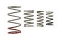 Picture of Turbosmart TS Wastegate Springs - TS-0600-2011