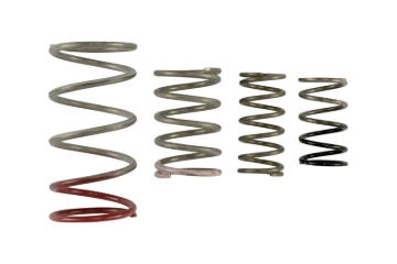 Picture of Turbosmart TS Wastegate Springs - TS-0600-2011