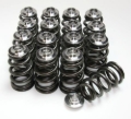 Picture of GSC Power Division GSC Valve Spring Kits Valve Springs, Retainers - 5051