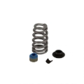 Picture of SPRING KIT, GM L31 VORTEC CYLINDER HEAD, .540" MAX LIFT, HYD ROLLER