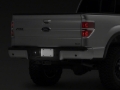Picture of Raxiom RAX License Plate Bulbs - T543147