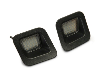 Picture of Raxiom RAX License Plate Bulbs - R109176