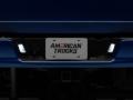 Picture of Raxiom RAX License Plate Bulbs - R109176