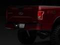 Picture of Raxiom RAX License Plate Bulbs - T549999