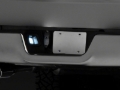 Picture of Raxiom RAX License Plate Bulbs - R117120