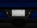 Picture of Raxiom RAX License Plate Bulbs - T542565