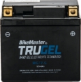 Picture of BikeMaster BKM Batteries-TruGel - 780542