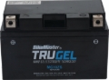 Picture of BikeMaster BKM Batteries-TruGel - 780501