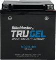 Picture of BikeMaster BKM Batteries-TruGel - 780528