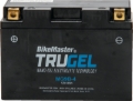 Picture of BikeMaster BKM Batteries-TruGel - 780544