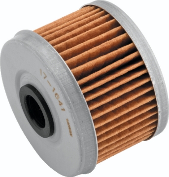 Picture of BikeMaster BKM Oil Filters - 171641
