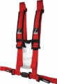 Picture of DragonFire Racing DFR Seat Belt Harness Seat Belts & Harnesses - 522045