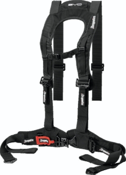 Picture of DragonFire Racing DFR Evo Harness Seat Belts & Harnesses - 520761