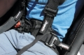 Picture of DragonFire Racing DFR Evo Harness Seat Belts & Harnesses - 520761