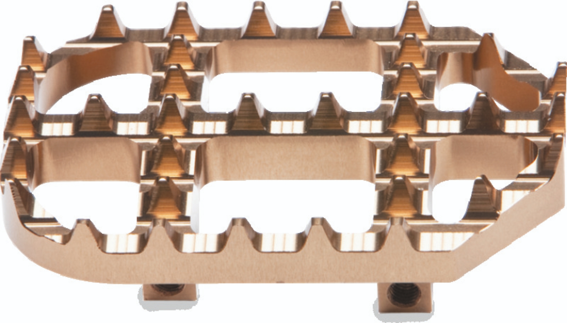 Picture of ProTaper PTR Footpegs - 023206