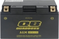Picture of QuadBoss QBS Batteries - 401377