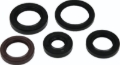 Picture of QuadBoss QBS Seal Kits Gasket Kits - 564785