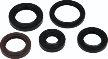 Picture of QuadBoss QBS Seal Kits Gasket Kits - 564785