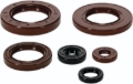 Picture of QuadBoss QBS Seals C Gasket Kits - 564684