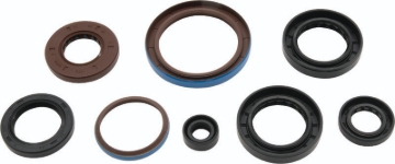 Picture of QuadBoss QBS Seals C Gasket Kits - 564596