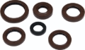 Picture of QuadBoss QBS Seal Kits Gasket Kits - 564595