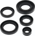 Picture of QuadBoss QBS Seal Kits Gasket Kits - 564593