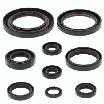 Picture of QuadBoss QBS Seals C Gasket Kits - 564171