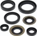 Picture of QuadBoss QBS Seal Kits Gasket Kits - 564397