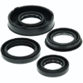 Picture of QuadBoss QBS Seals C Gasket Kits - 564158