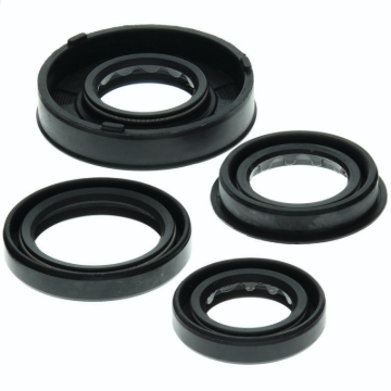 Picture of QuadBoss QBS Seals C Gasket Kits - 564158