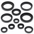 Picture of QuadBoss QBS Seal Kits Gasket Kits - 564139