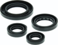 Picture of QuadBoss QBS Seal Kits Gasket Kits - 564348