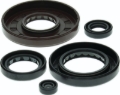 Picture of QuadBoss QBS Gaskets Gasket Kits - 564347