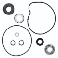 Picture of QuadBoss QBS Water Pumps B - 565268