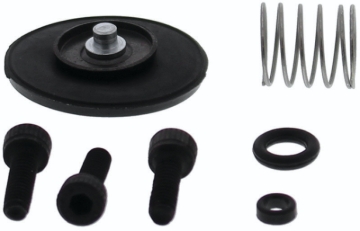 Picture of QuadBoss QBS Accelerator Pump Kits Carburetors - 420593